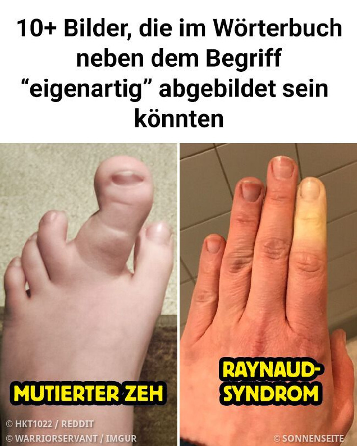 10+ Bilder, die im Wörterbuch neben dem Begriff “eigenartig” abgebildet sein könnten