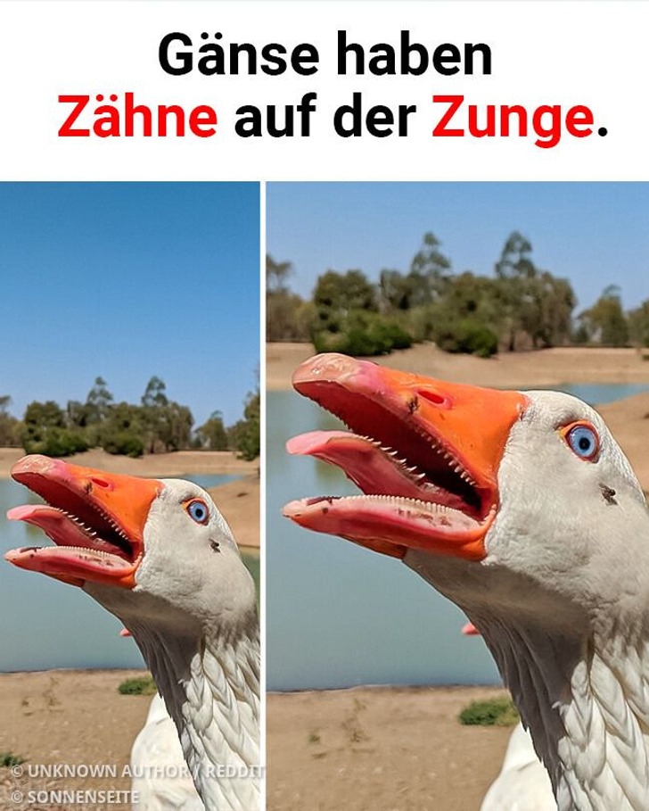 15 Menschen, die auf etwas gestoßen sind, das man nur selten zu Gesicht bekommt