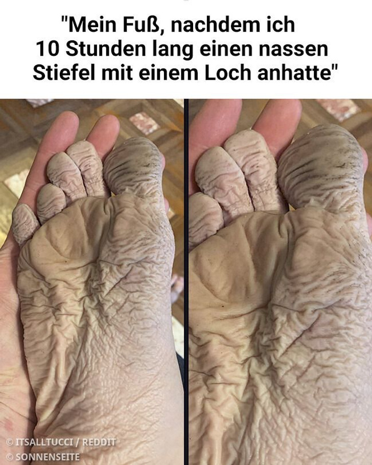 10+ Menschen, deren Tag so schlecht begonnen hat, dass sie eigentlich eine Zeitmaschine bräuchten