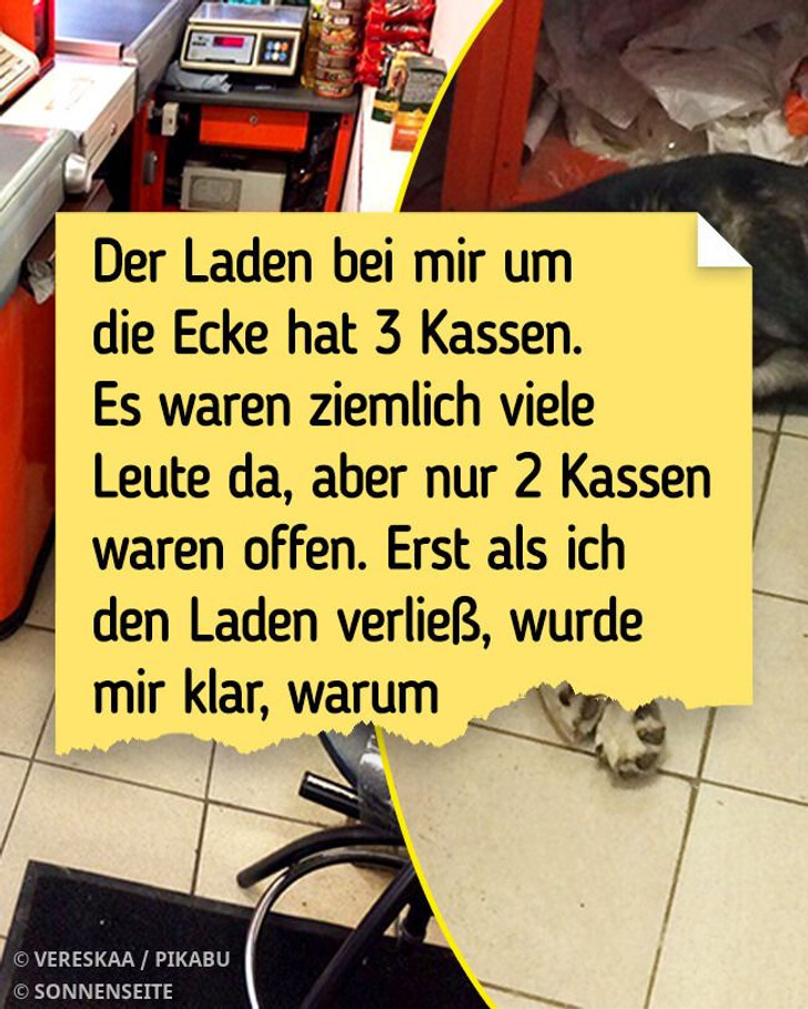 15 zufällig entstandene Fotos, die die Herzen der Menschen berührt haben