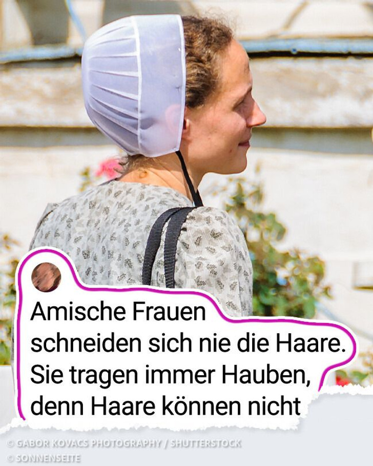 15+ Fakten über den Amischen Lebensstil, die für viele eine Herausforderung darstellen würden