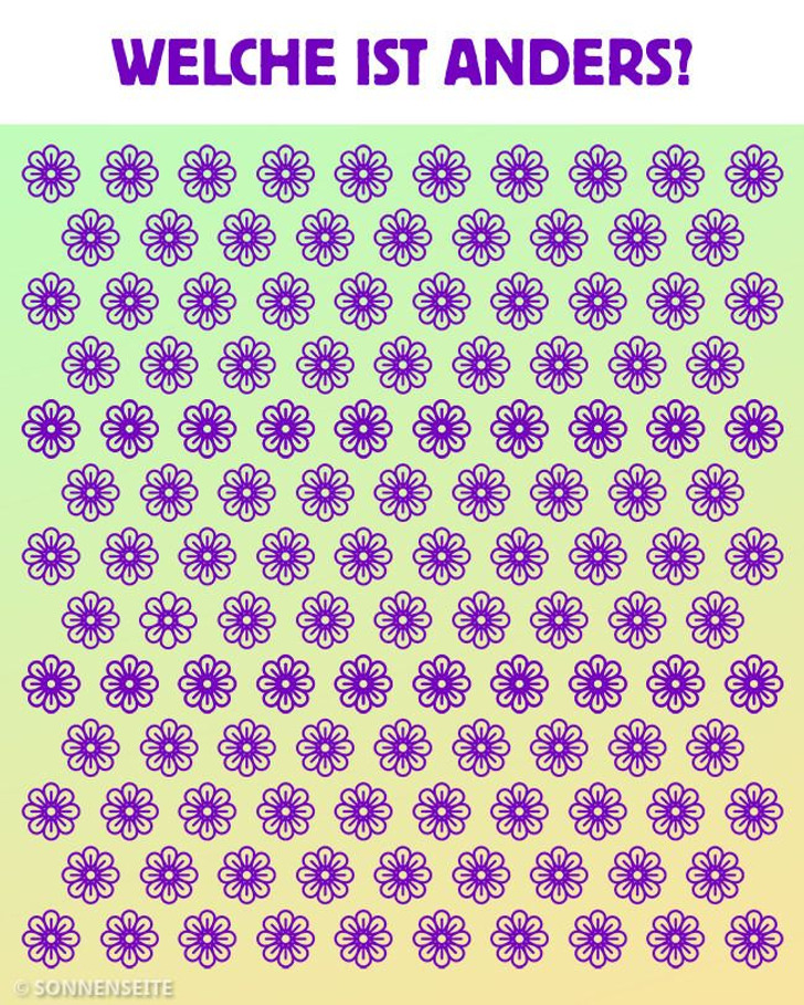 Quiz: Teste deine Sehschärfe und finde die Blume, die nicht zur Gruppe gehört (15 Rätsel)