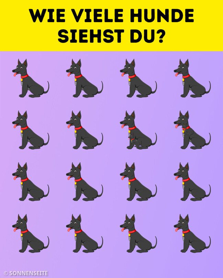 Test: Finde heraus, wie aufmerksam du bist, indem du diese 15 Rätsel löst