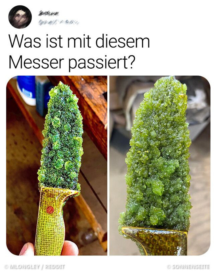 14 Bilder, die uns neugierig darauf machen, die Geschichte dahinter zu hören