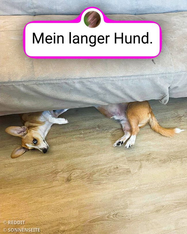 17 Mal mussten die Leute zweimal hinschauen, um zu entschlüsseln, was sie da sahen