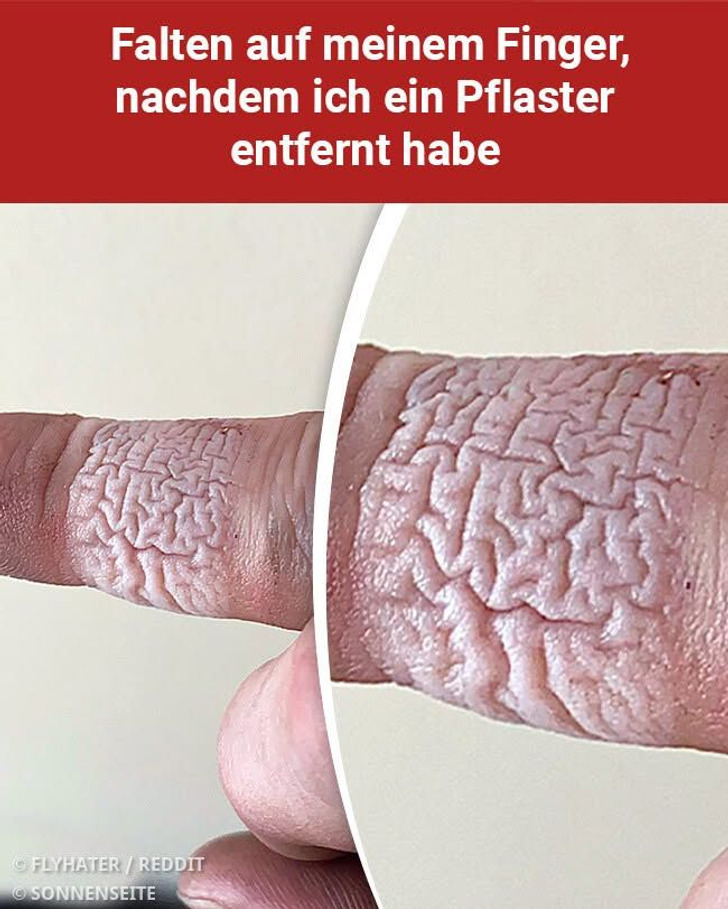 16 Fotos von Alltagsgegenständen aus interessanten Blickwinkeln