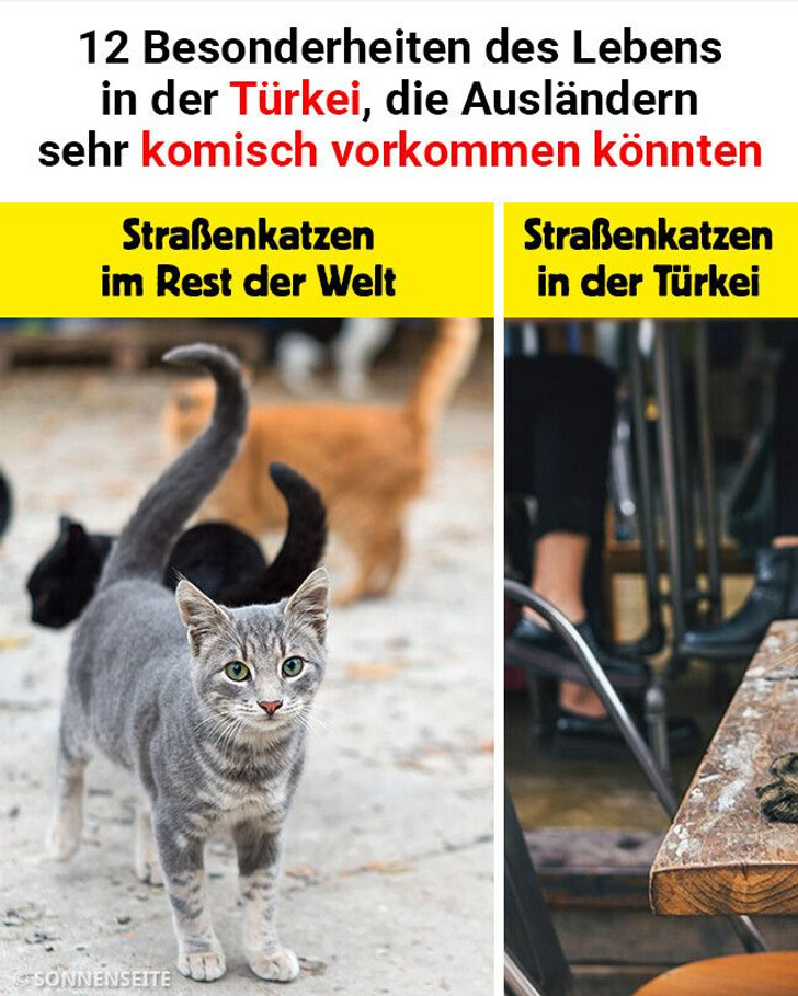 12 Besonderheiten des Lebens in der Türkei, die Ausländern sehr komisch vorkommen könnten