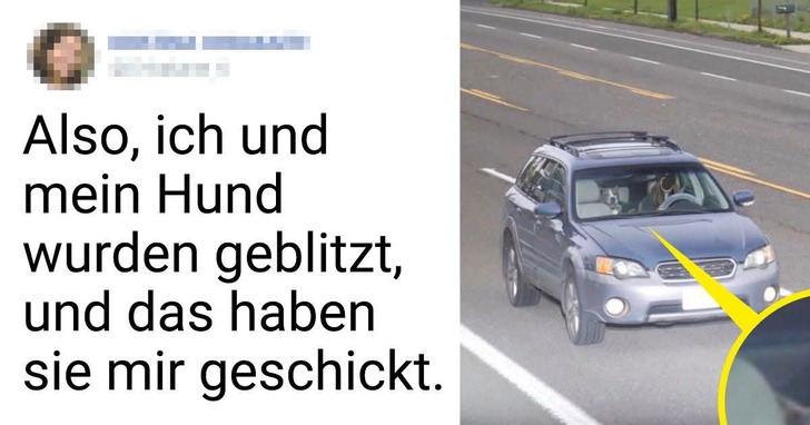 17 Fotos, die die wahre Natur von Tieren offenbaren