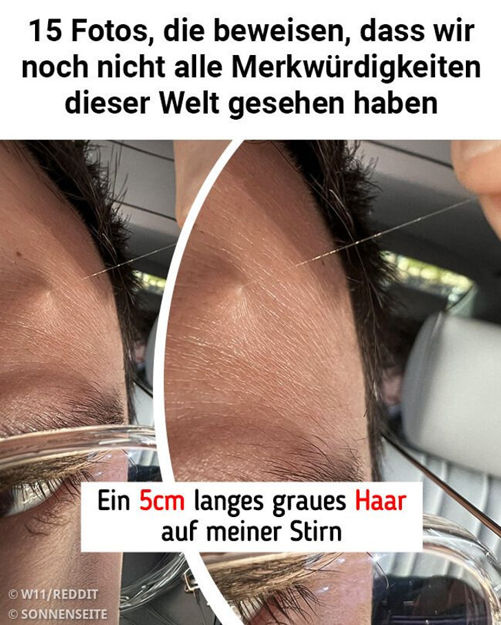 15 Fotos, die beweisen, dass wir noch nicht alle Merkwürdigkeiten dieser Welt gesehen haben