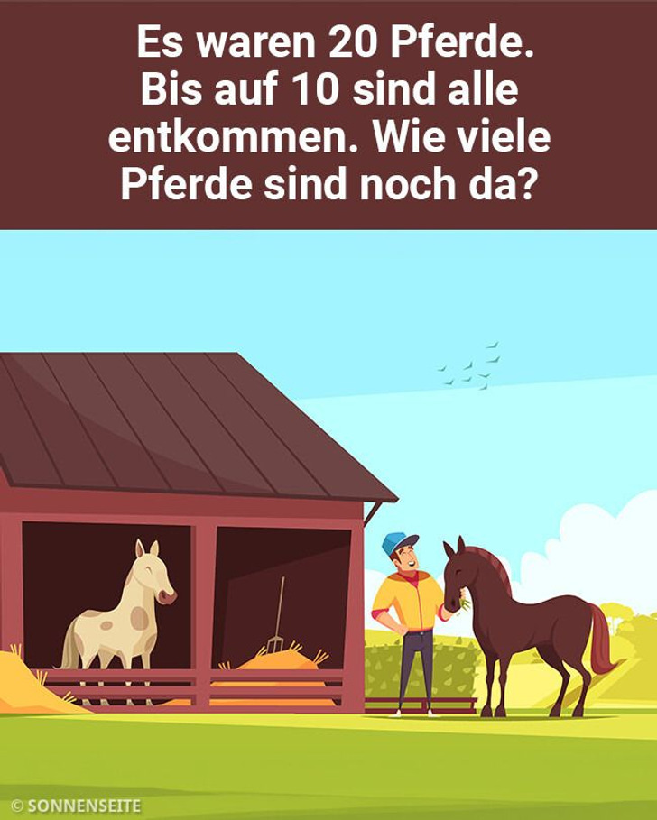 Test: Versuche, diese Rätsel so schnell wie möglich zu lösen