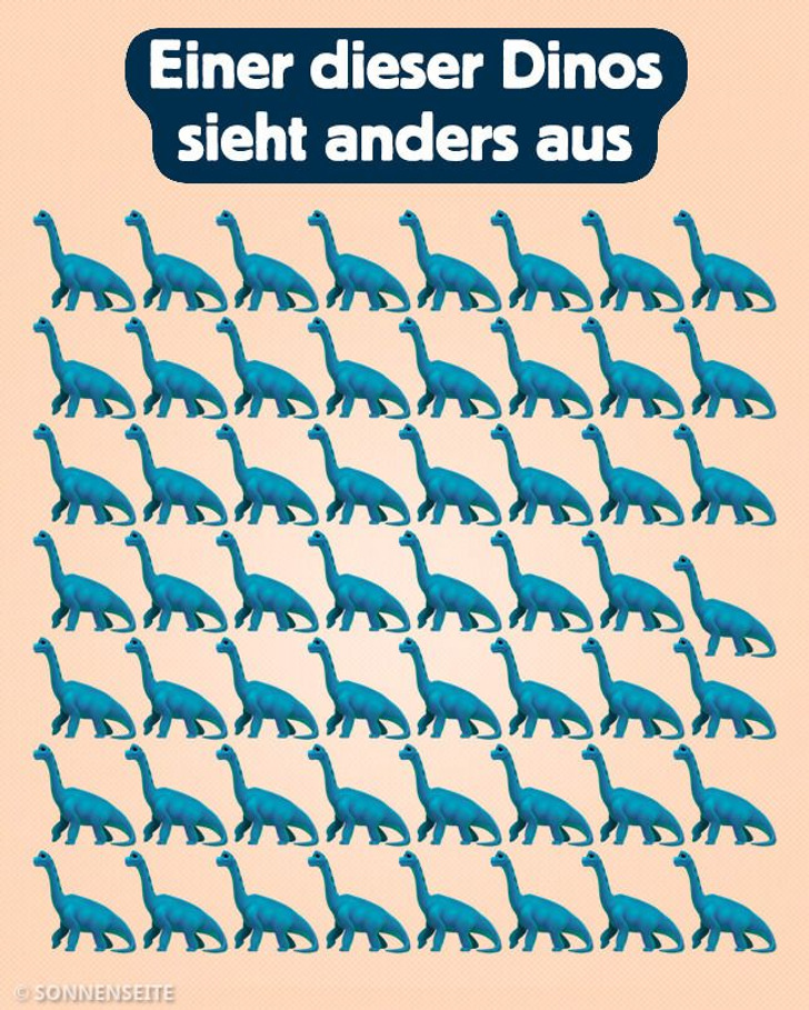 10 Rätsel, mit deinen du deine Aufmerksamkeit auf die Probe stellen kannst