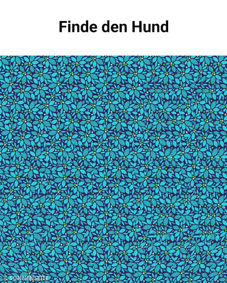 Quiz: Finde heraus, ob du die optischen 3D-Täuschungen, die in den Bildern versteckt sind, erkennen kannst (15 Rätsel)