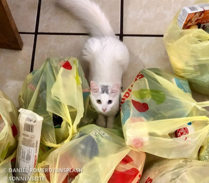 10 harmlose Käufe, die den Geldbeutel belasten