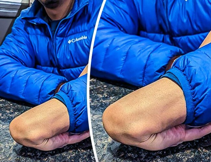 Naturspektakel hautnah: 17 unvergessliche Begegnungen mit der Natur