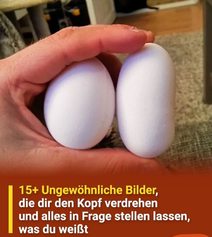 15+ Ungewöhnliche Bilder, die dir den Kopf verdrehen und alles in Frage stellen lassen, was du weißt