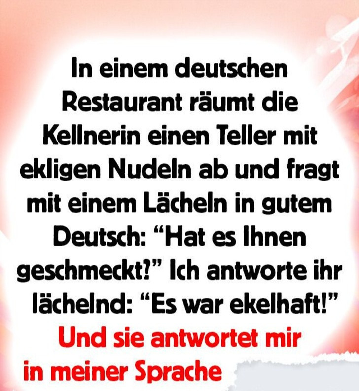 20 Menschen, die beschlossen haben, ihre eigenen Regeln in einem anderen Land anzuwenden und damit einen Kulturschock erlebten