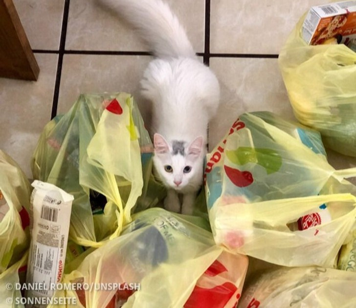 10 harmlose Käufe, die den Geldbeutel belasten